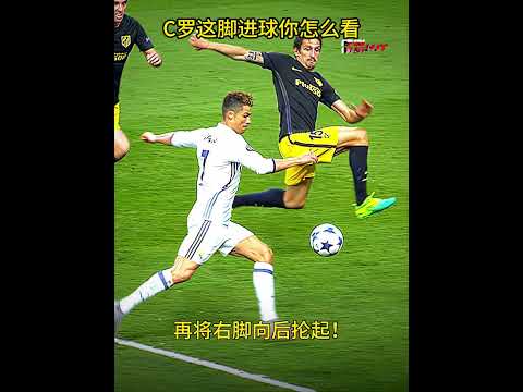 费助力显著,助曼联达成,进球及,广州马会,赛程安排,赛马赛事,马匹资料,会员服务