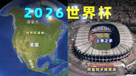 新疆成为“西部粮仓”的关键因素有哪些？
